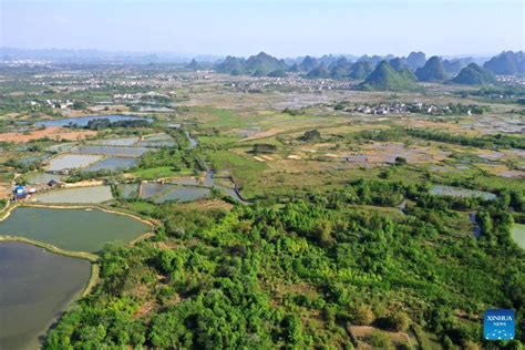 Scenery of Huixian Wetlands in Guangxi - China.org.cn