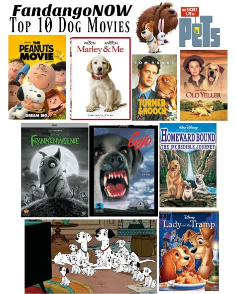 FandangoNOW Top 10 Dog Movies - Golden Woofs