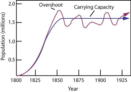 Biology Graphs: Carrying Capacity