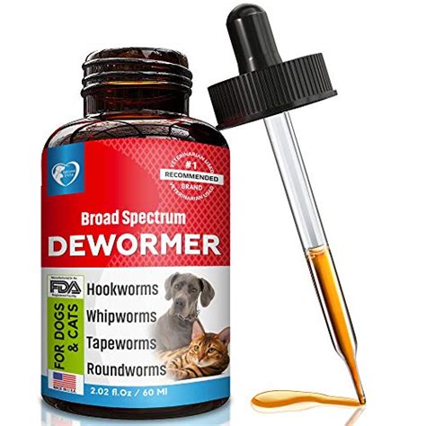 The Best Cat Dewormers [2021 Review] | PetsPest.com