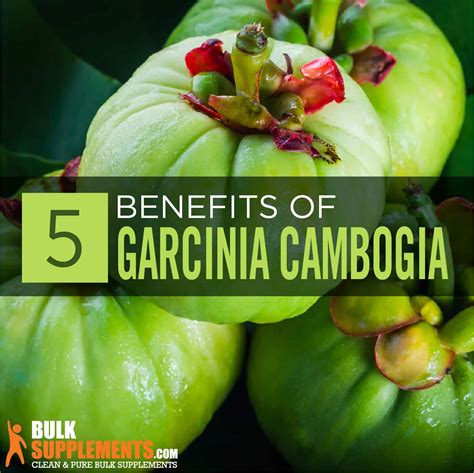 Garcinia Cambogia: Benefits, Side Effects & Dosage