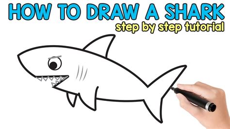 How To Draw A Great White Shark Step By Step at Drawing Tutorials