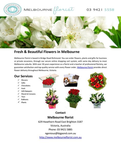 Fresh & beautiful flowers in melbourne by Melbournefsem - Issuu