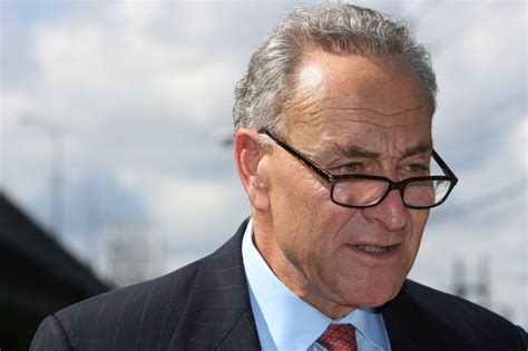 Schumer requests NYC parade for returning troops - silive.com