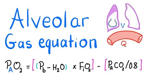 Alveolar Gas Equation | Lung Physiology - YouTube