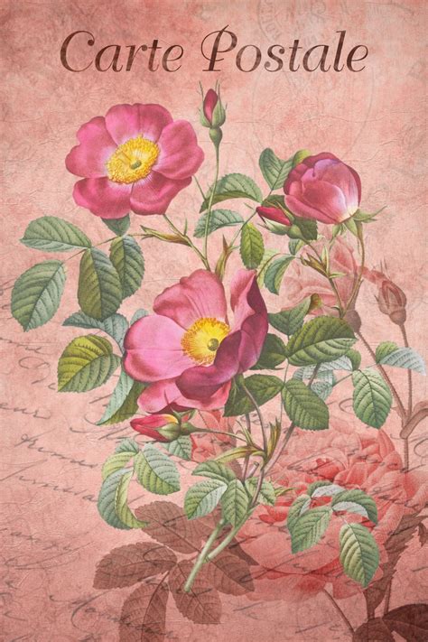 Vintage Art Flowers Roses Free Stock Photo - Public Domain Pictures