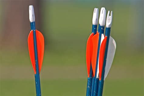 How to Choose Arrows for Archery: 12 Steps (with Pictures)