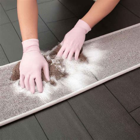 How To Clean Diatomite Mat | Learntechit.com