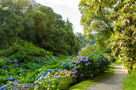 Trebah Garden - The Great Gardens of Cornwall