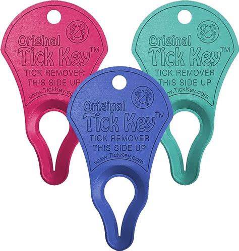 How to Use a Tick Removal Tool Safely and Effectively - Camping Zest