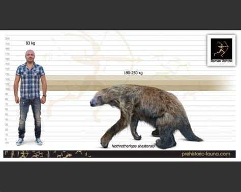 Bear vs Ground Sloth | Domain Of The Bears