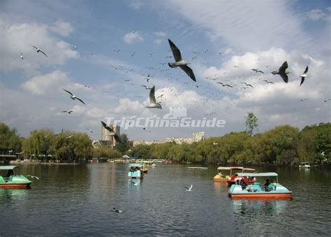 Green Lake Kunming China - Green Lake Park Kunming, Green Lake Park Photos, Kunming Cuihu Park ...