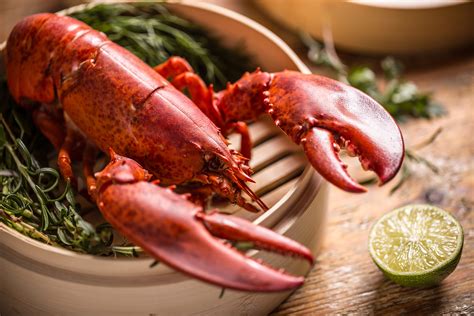 1.25 lbs. Fresh Live Maine Lobster | Lobster Trap: Live Lobster Online