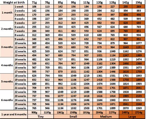 Yorkie growth chart and Yorkshire terrier development stages - Yorkie.Life