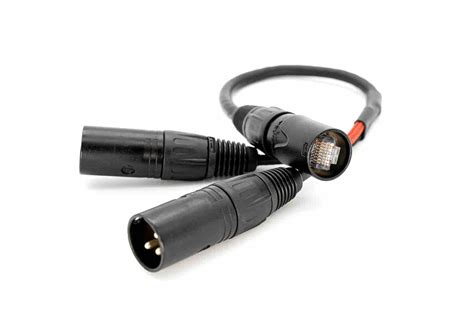 Ethercon to 2 XLR-M Adapter (14 Inch Length) - MALE | Pinstripe Pedals