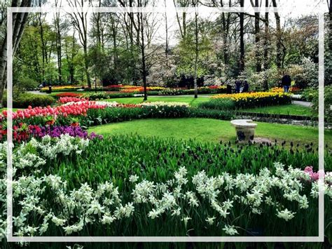 VISITING KEUKENHOF GARDENS - The Scenic Suitcase