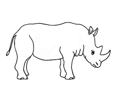 First rhinoceros drawing - batmanten