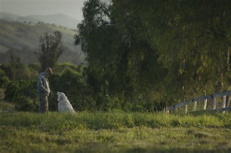 'Biggest Little Farm' review: A riveting nature film