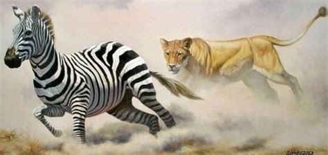 zebra vs lion | Simba Robert Makoni | Foundmyself