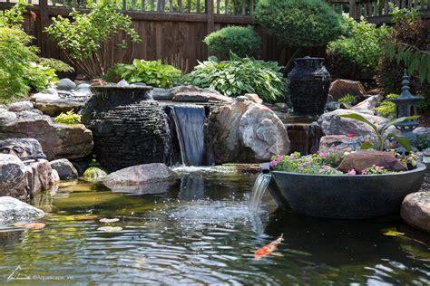 Ecosystem Ponds | Aquascapes of Naples