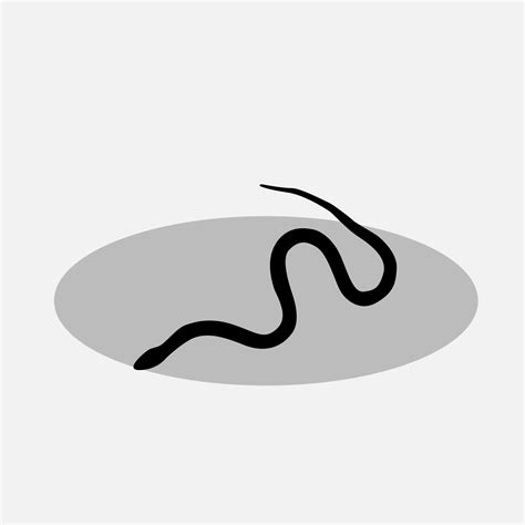 Snake vector png 31114157 Vector Art at Vecteezy