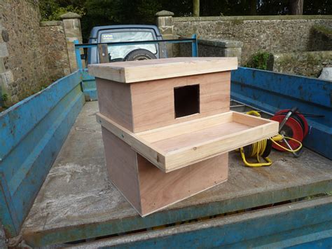 Barn Owl Boxes – Anyone built one and attracted an Owl? – Singletrack World Magazine