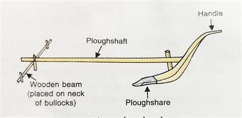 SUBHANKAR'S SCIENCE AND ENGINEERING BLOG: Lecture 1: Class VIII: SCIENCE: CROPS AND ITS ...