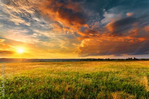 Grassy Field Sunset