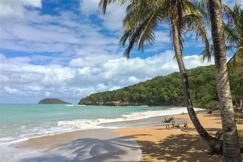 Is Guadeloupe Worth Visiting? 10 Reasons to Go Right Now!