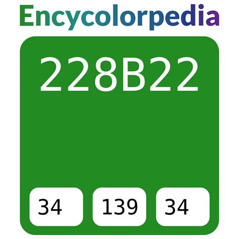 Forestgreen / Forest Green / #228b22 Hex Color Code | Hex colors, Hex ...