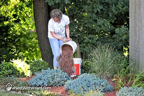 How To Make A Mulch Bed 2024 - A Nest With A Yard