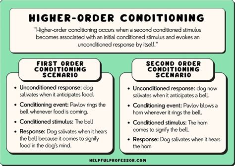 10 Higher Order Conditioning Examples (2024)