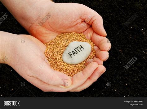 Planting Seeds Faith Image & Photo (Free Trial) | Bigstock