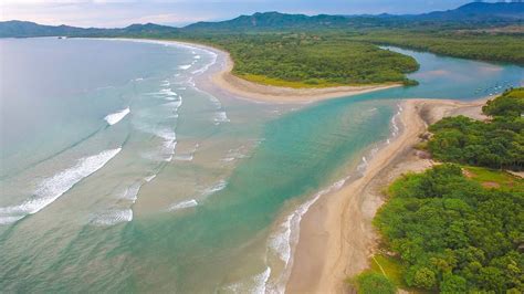 Download Tamarindo Wildlife Refuge Costa Rica Wallpaper | Wallpapers.com