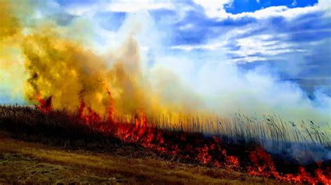 Field Fire Free Stock Photo - Public Domain Pictures