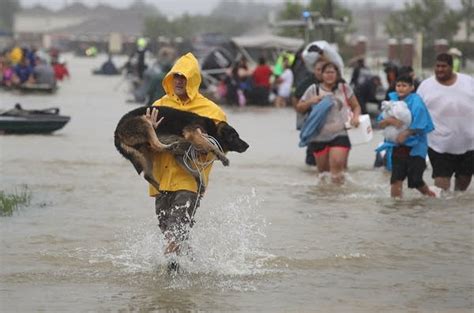 Photos: People (and pets) continue to evacuate from flood waters | MPR News