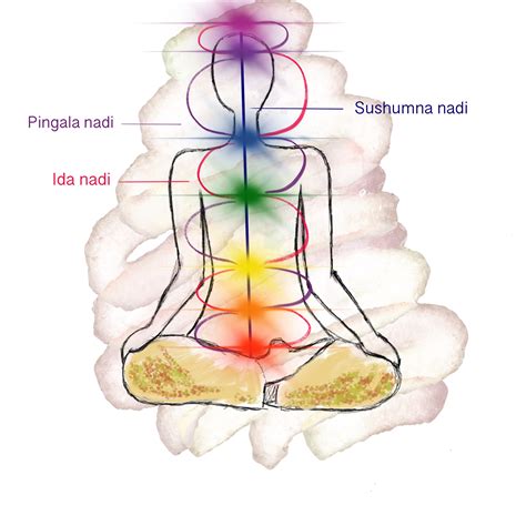 Let's talk about Chakras | Yoga in Cranbrook | Isca Yoga