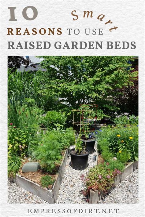 10 Smart Reasons to Use Raised Beds in Your Garden