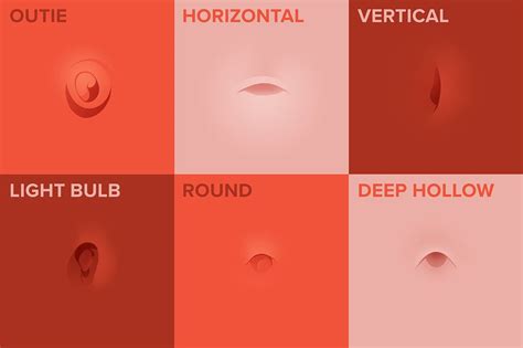 Belly button types what determines the shape and size – Artofit