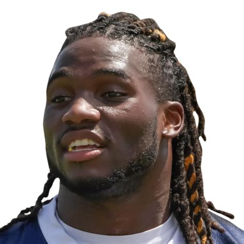 Jaylon Smith Player Profile News, Stats and More | SIA Insights