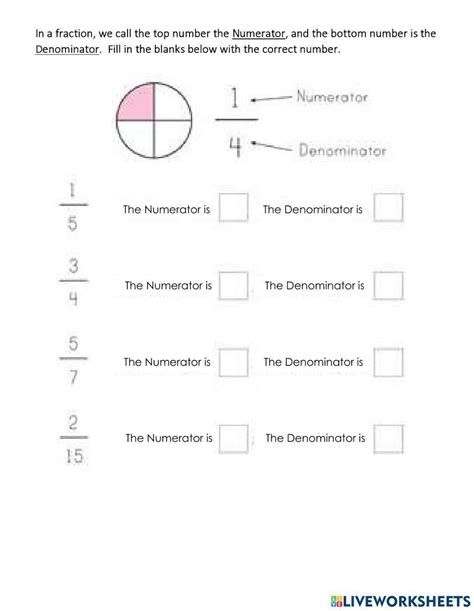 Identify numerator and denominator worksheets library - Worksheets Library