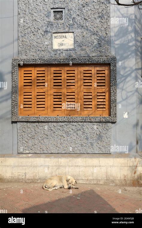 Windows of the Mother House, Missionaries of Charity sisters of Mother ...