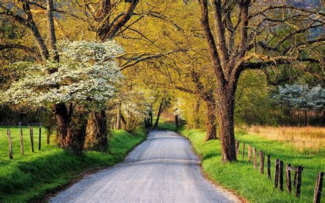 Pin by andrew on sharovarka | Scenic beauty, Cades cove, Spring time