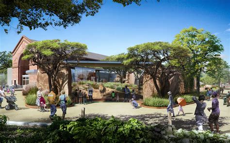 Here's What Lincoln Park Zoo's Lion Habitat Will Look Like Once Its $40 ...