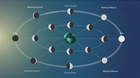 diagram showing the phases of the moon | Planets aligned, Solar eclipse ...