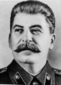 Joseph Stalin's Moustache