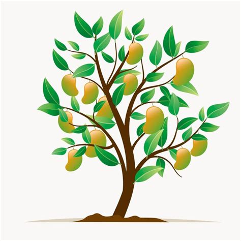 Free Vector | Flat botanical mango tree illustration