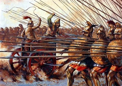 What do you think of the tactics of the phalanx ? | Warriors illustration, Historical warriors ...