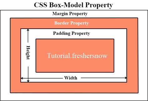 CSS Box Model with Examples (Margin, Padding, Border)