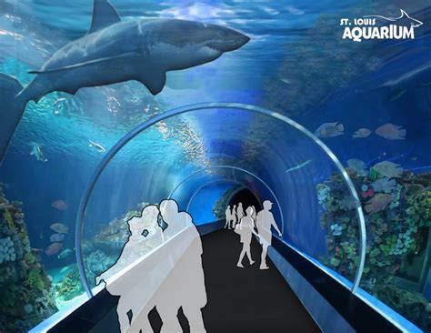 Aquarium and shark tank planned for St. Louis's Union Station